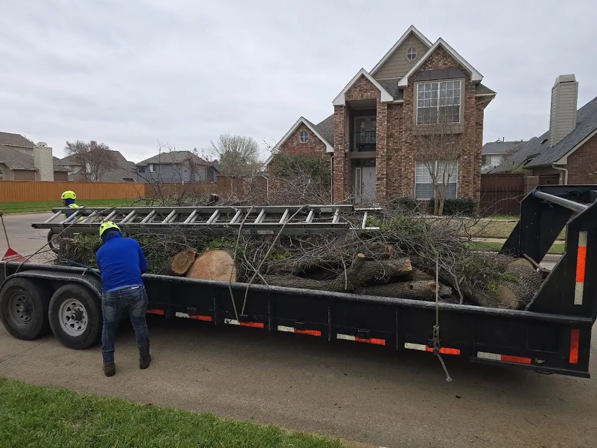 Expert Crown Reduction with proper safety equipment in North Newton